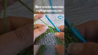 How To Crochet The Lace Border  Crafting Happiness shorts [upl. by Horatius344]