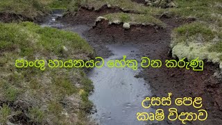 පාංශු හායනයට හේතු වන කරුණු  Agricultural Science for Advance Level Examination Sinhala medium [upl. by Acimad571]