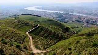 Discover The Wines of the Rhone Valley Part 1 of 3 [upl. by Sherwood]