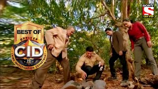 Best of CID Bangla  সীআইডী  The Secret Of Tree  Full Episode [upl. by Ahsiekit]