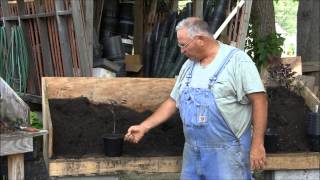 Potting Rooted Cuttings [upl. by Scuram440]