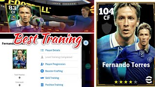 Fernando Torres Training Efootball [upl. by Hilliary]