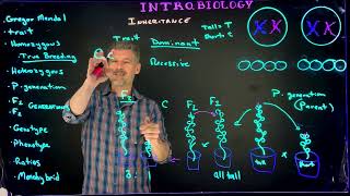 Mendelian Genetics Terms and Overview [upl. by Abisia]