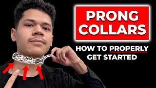 Watch This Video BEFORE Using a Prong Collar [upl. by Nahsin]