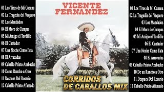 VICENTE FERNANDEZ CORRIDOS DE CABALLOS MIX  VICENTE FERNÁNDEZ LAS MEJORES CANCIONES RANCHERAS [upl. by Belayneh]