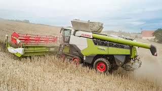 CLAAS LEXION 8900  LEXION 7500 bei der Rapsernte 2023 [upl. by Enyrat]