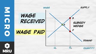 Wage Subsidies [upl. by Dilisio200]