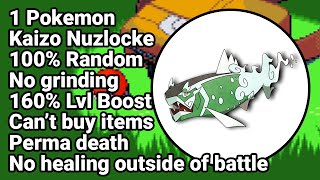 I Will Beat The Hardest Pokemon Challenge • Emerald Kaizo Ironmon [upl. by Ribak]