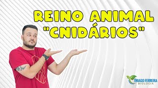 QUEM SÃƒO OS CNIDÃRIOS  CELENTERADOS AULA 03  ZOOLOGIA  PROFESSOR THIAGO FERREIRA [upl. by Luce563]