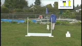 AKC Rally  The Complete Guide  Exercise 34 [upl. by Toffey]