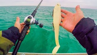 UNEXPECTED Giant Dinosaur Fish Caught While Muskie Fishing  Lake Saint Clair Musky Battle [upl. by Ballou]