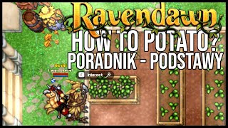 Ominąłeś Tutorial Na pewno Ci się przyda kilka informacji  Ravendawn [upl. by Ecyoj]