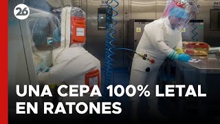 CHINA  La alarmante cepa mutante de coronavirus creada por científicos chinos [upl. by Leoni]