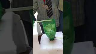 Project of water filtration by students scienceexperiment scienceproject [upl. by Noble730]