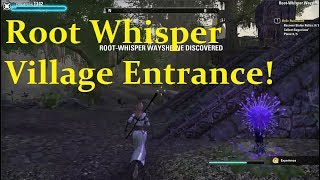 Root Whisper Village ENTRANCE Location ESO Murkmire Elder Scrolls Online [upl. by Llarret]