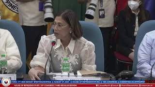 COMMITTEE ON APPROPRIATIONS  BUDGET BRIEFINGHEARINGS OF THE FY 2025 PROPOSED BUDGET OVP [upl. by Einner]