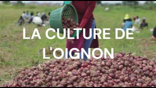 LA CULTURE DE LOIGNON [upl. by Anirad]