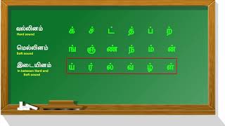 Vallinam Mellinam Idaiyinam MeiEzhuthukkalமெய் எழுத்துக்கள்வல்லினம் மெல்லினம் இடையினம் [upl. by Nivlad]