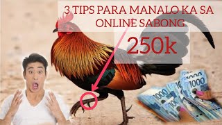 3 TIPS KUNG PAANO MANALO SA ONLINE SABONG onlinesabong [upl. by Gagliano]