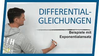 Differentialgleichung lösen  Exponentialansatz 2 Beispiele  Mathe by Daniel Jung [upl. by Otanutrof]