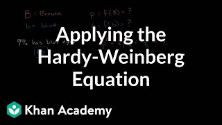 Applying the HardyWeinberg equation  Biomolecules  MCAT  Khan Academy [upl. by Nowyt515]