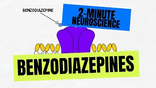 2Minute Neuroscience Benzodiazepines [upl. by Ellinad916]