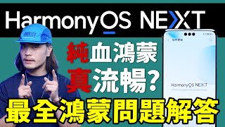 纯血鸿蒙HarmonyOS NEXT真的好用嗎？｜藍朋友TV [upl. by Aramo568]