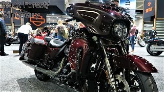 2019 CVO Street Glide HarleyDavidson │ All 3 Colors and Whats New [upl. by Trebla958]