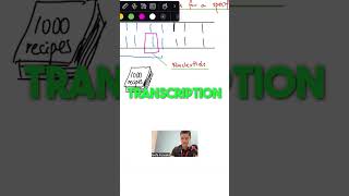 Transcription amp Translation Explained [upl. by Thant48]