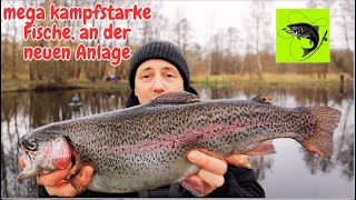 Forellenangeln mit Spoon Gummiköder Libra Lure Helgas Forellenteiche Powerbait Lachsforellen Angeln [upl. by Nairad]