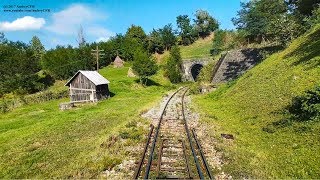 Train RearView  Vișeu de Jos  Dealu Ștefăniței Maramureș  Romania [upl. by Pastelki]