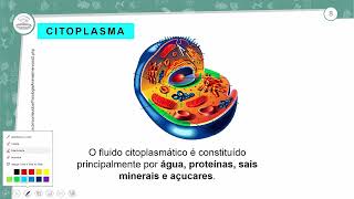 231  CITOPLASMA DAS CÉLULAS PROCARIONTES E EUCARIONTES  BIOLOGIA  1º ANO EM  AULA 2312024 [upl. by Cristal133]