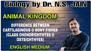 Difference between Cartilaginous amp Bony Fishes Class Chondrichthyes amp Osteichthyes  In English [upl. by Dedric660]