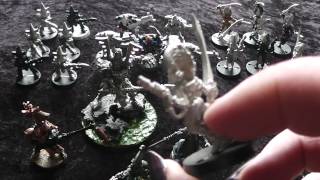 My new Eldar Force the troops are geathered [upl. by Anazus]