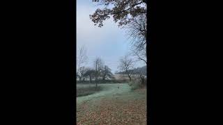 Pojďte si s náma užít první ranní mrazivou procházku❄️ dog frost walk winter fyp coldmorning [upl. by Je]