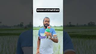 धान की बेस्ट दवा🌾 JU Pretilachlor 50 EC  AGRIL CAREER agrilcareer farming [upl. by Eehc]