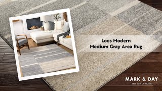 Loos Modern Medium Gray Area Rug [upl. by Akemit914]