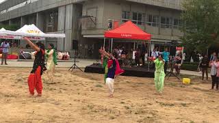 Bhangra performed at Langara college 2k17 Vancouver British Columbia Canada [upl. by Ikkela]