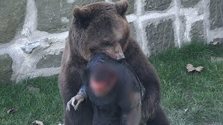 Timothy Treadwell The Fatal Bear Attack Captured [upl. by Swain]