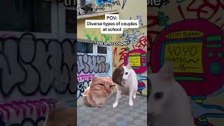 CAT MEMES 🐱Diverse types of couples at school catmemes relatable relationship [upl. by Neltiak785]