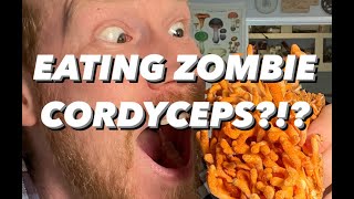 EATING ZOMBIE CORDYCEPS Growing cooking and eating Cordyceps miltaris in Colorado [upl. by Ardnuahs]