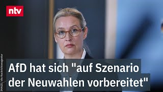 Weidel nach AmpelAus AfD hat sich quotauf Szenario der Neuwahlen vorbereitetquot  ntv [upl. by Dnomasor]