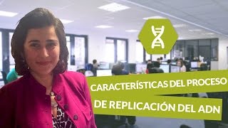 Características del proceso de replicación del ADN  Biología  digiSchool [upl. by Adest313]