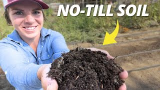 Improve In Ground Soil Naturally NoTill Methods Revealed [upl. by Akilak899]