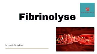 Fibrinolyse [upl. by Rind121]