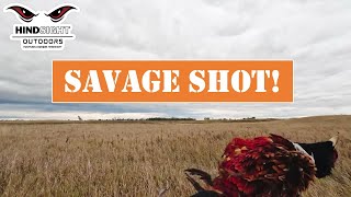 Savage Shot  a Driple [upl. by Vonni]