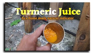 Turmeric juice as a natural indicator  Colour change with Soap base [upl. by Ahgem39]