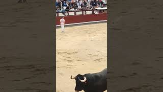 😮🏃🐂Impresionante lo que ha hecho Daganzo toros torosbravos recortes bull torobravo españa [upl. by Juli]