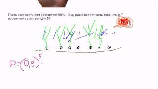 Формула БернуллиВероятность всхожести [upl. by Gahl]