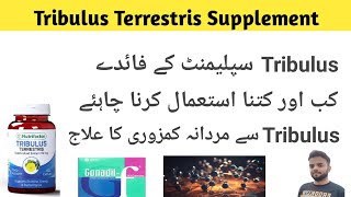 Tribulus Terrestris Supplement Health Benefits For Men  Testosterone booster Dosage amp side effects [upl. by Woodhead665]